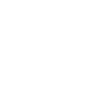 Today Gold Rush Site Address Icon